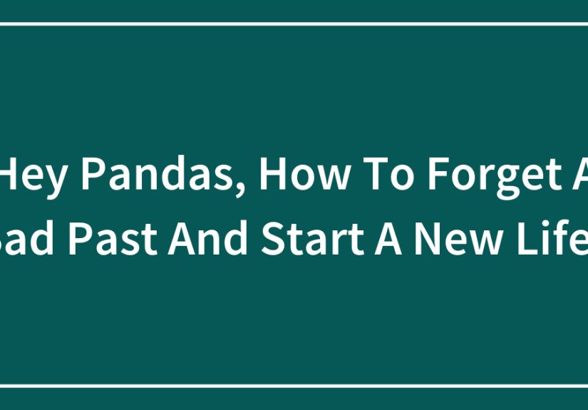 Hey Pandas, How To Forget A Bad Past And Start A New Life?