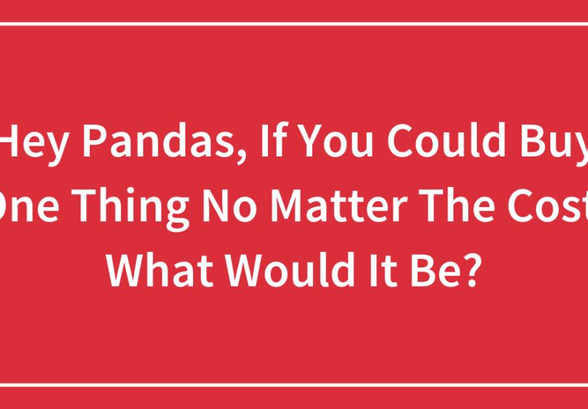 Hey Pandas, If You Could Buy One Thing No Matter The Cost, What Would It Be?