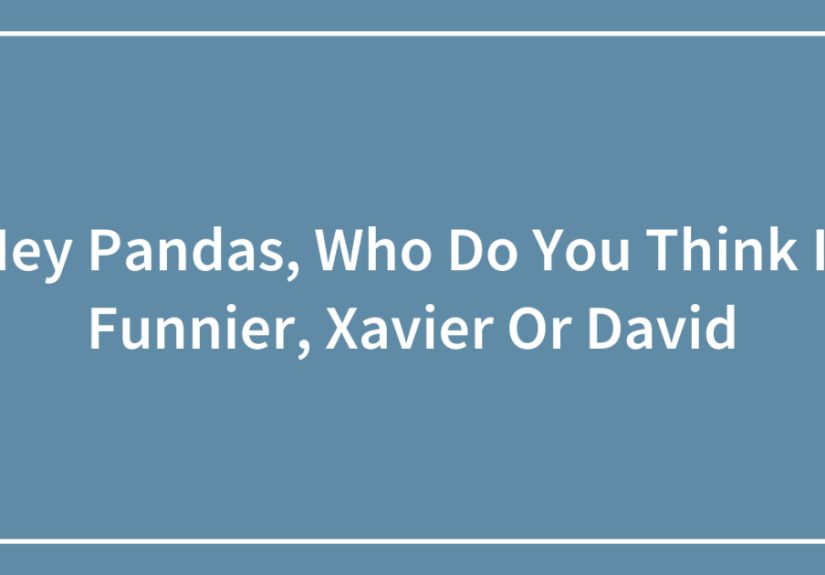Hey Pandas, Who Do You Think Is Funnier, Xavier Or David