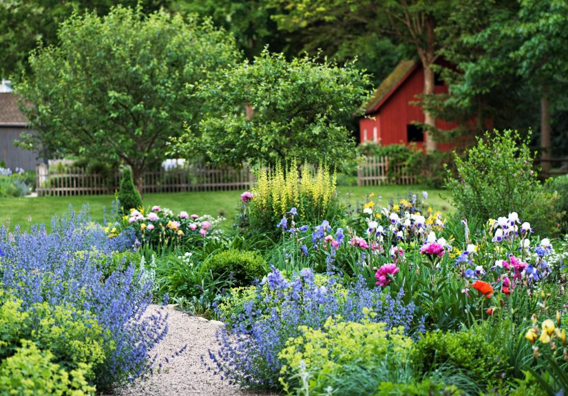 How to Make a Flower Bed in 5 Simple Steps