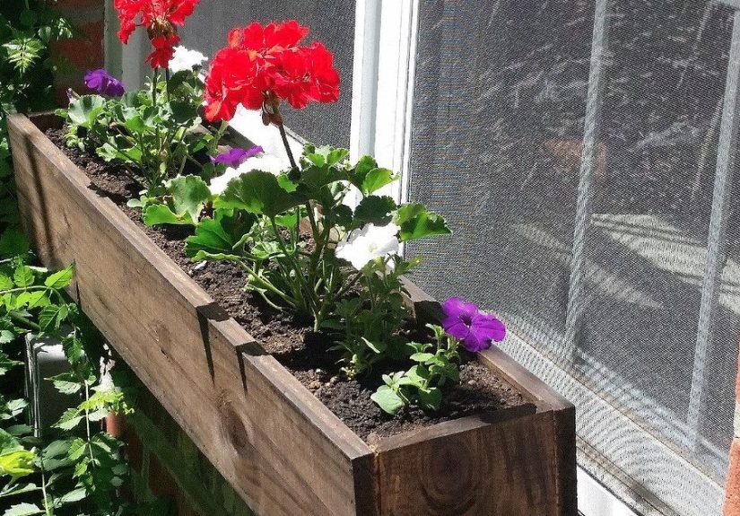 Make a DIY Window Box with a Patriotic Twist!