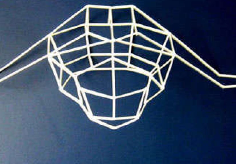 New from Bend in LA: Cruelty-Free Trophy Heads Web Story