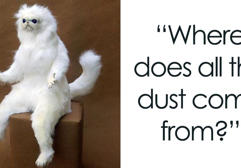 People Open Up About 30 Things About Becoming An Adult That Caught Them Completely Off Guard