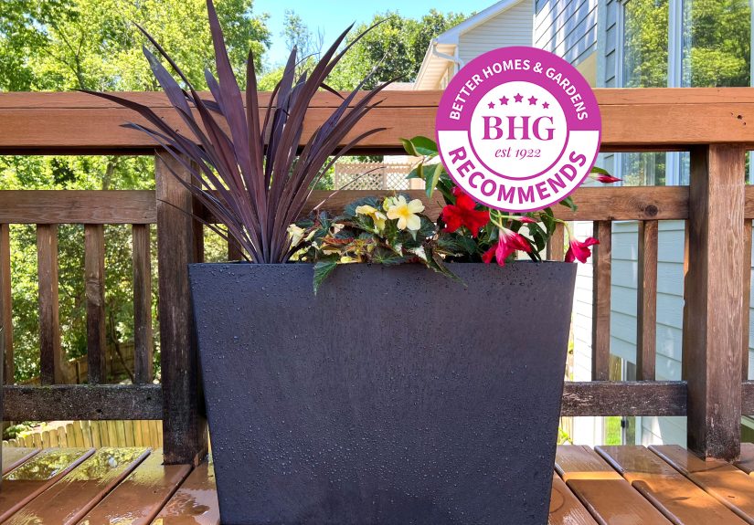 The 8 Best Self-Watering Planters, Tested by BHG