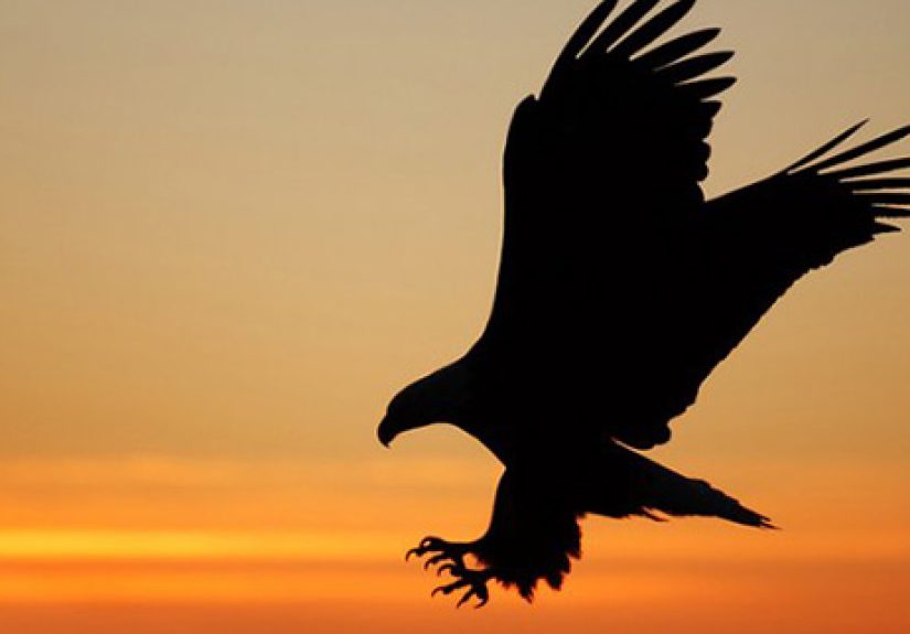 10 Fascinating and Unexpected Origins of Words