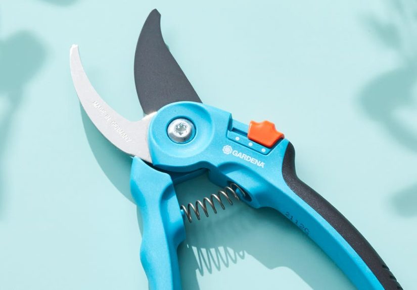 11 Best Pruning & Garden Shears of 2024