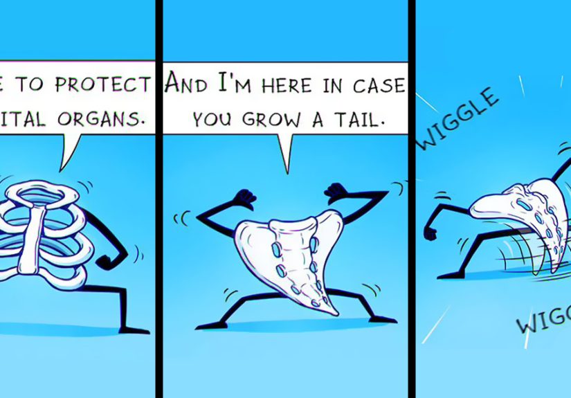 12 Humorous Comics With Unexpected Endings By Needle Wig