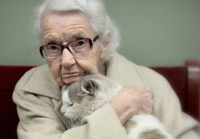 120 Of The Oldest Cats Adopted By People With The Biggest Hearts