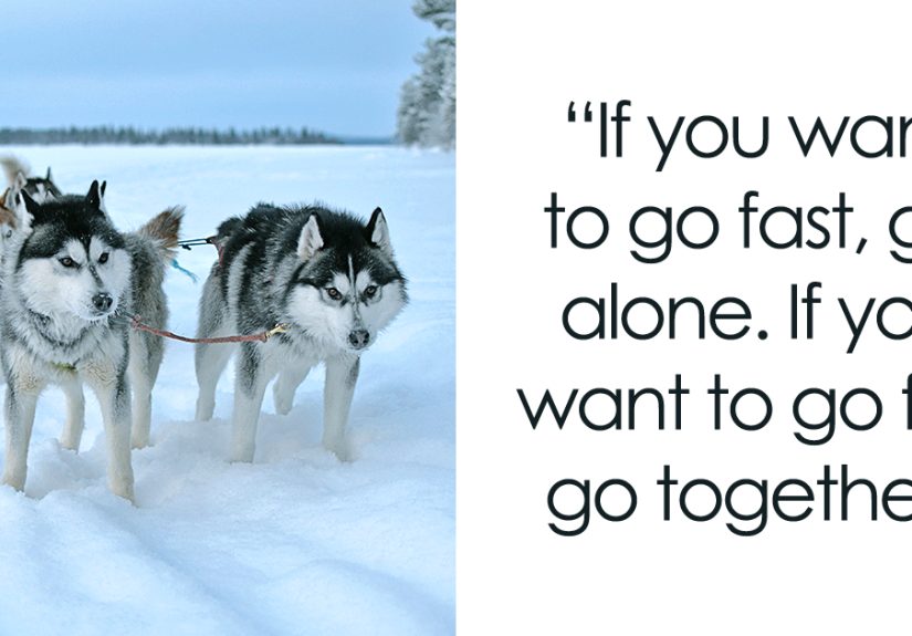 134 Best Teamwork Quotes That Will Inspire You To Work Hand In Hand
