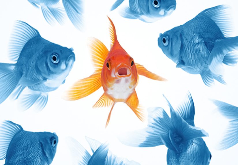 14 Critical Elements of Outstanding Website Content