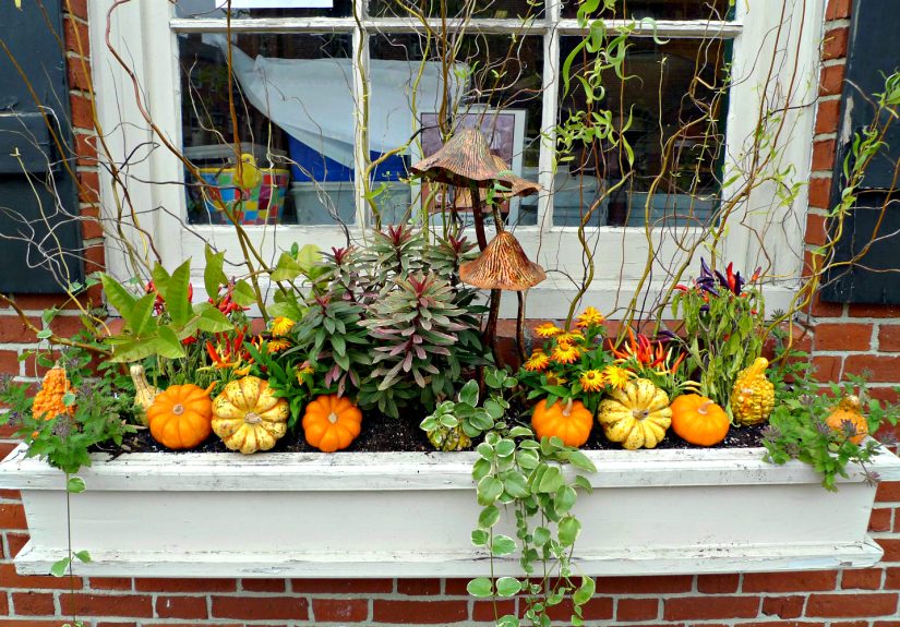 16 Fall Window Boxes to Create a Stunning Display