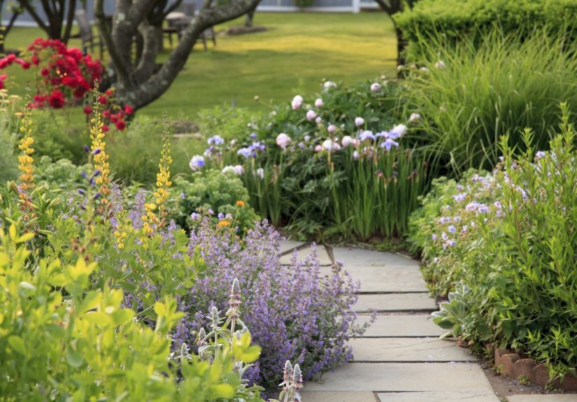 25 Easy-Care Plants That Survive With or Without You