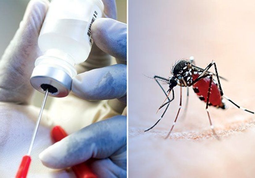 A Malaria Vaccine: Progress and Challenges