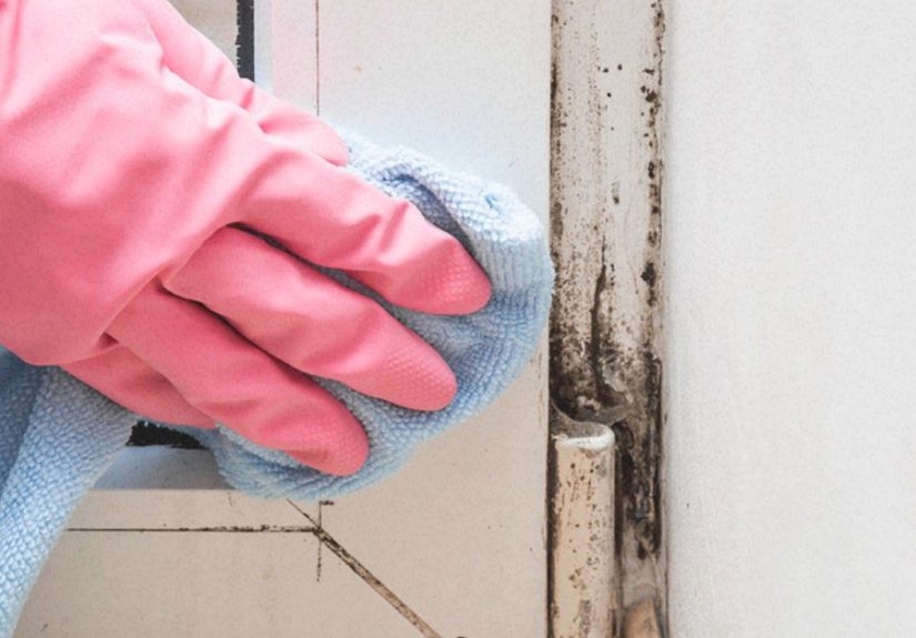 Black Mold: Exposure, Symptoms, Treatment, and More