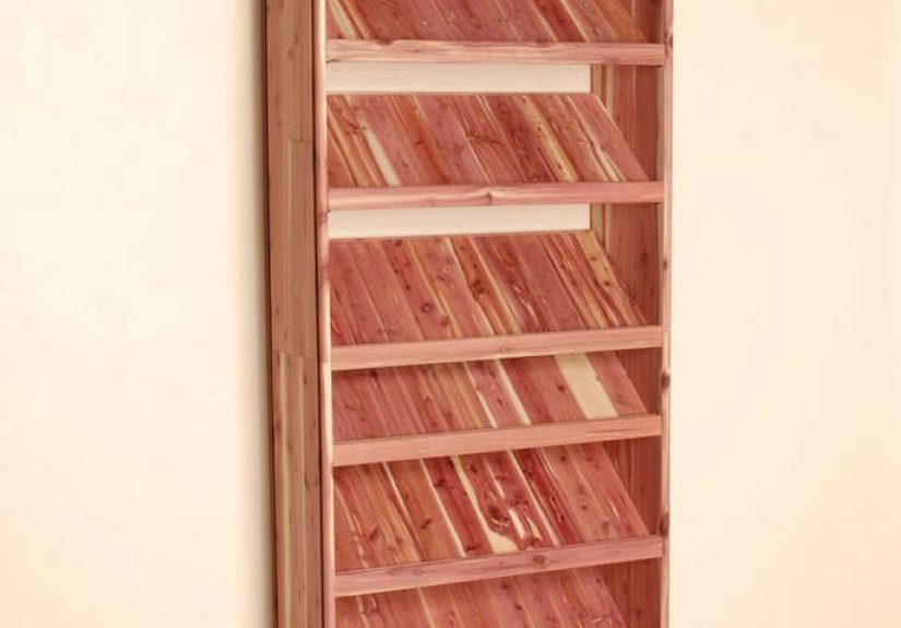 Deluxe Solid Shoe Cubby Closet Organizer