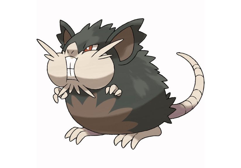 Did Gary's Raticate Really Die in Pokemon Red and Blue?