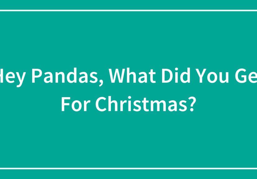 Hey Pandas, What Did You Get For Christmas?