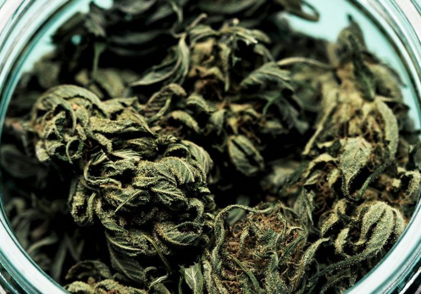 How Long Does a Cannabis High Last? What to Expect