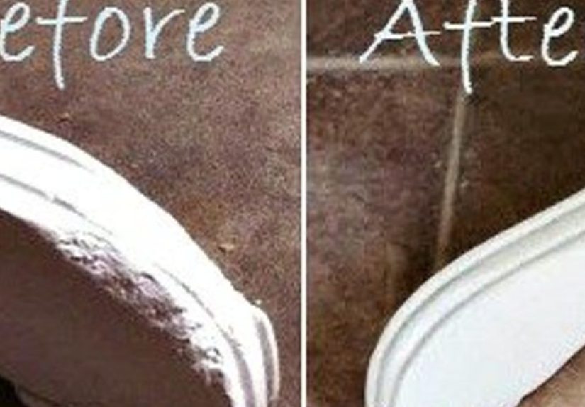How to Repair Dog Chewed Table Legs