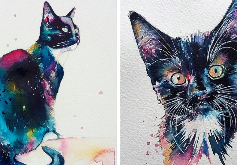 I Take Black Cats And Make Them Magical