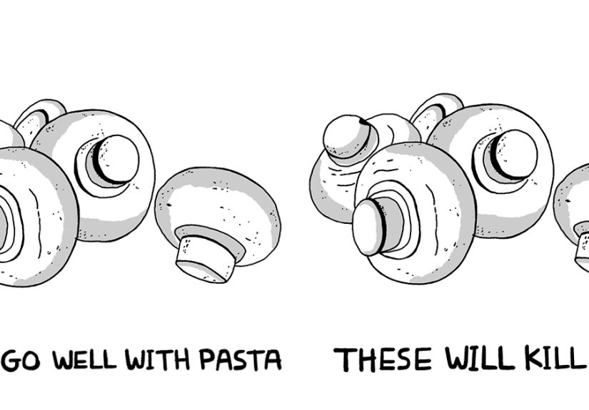 If You Like Dad Jokes, Shower Thoughts, And Silly Humor, You’ll Probably Like My 32 New Illustrations