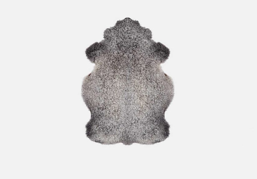 Large Gotland Sheepskin - Black Sheep (White Light)