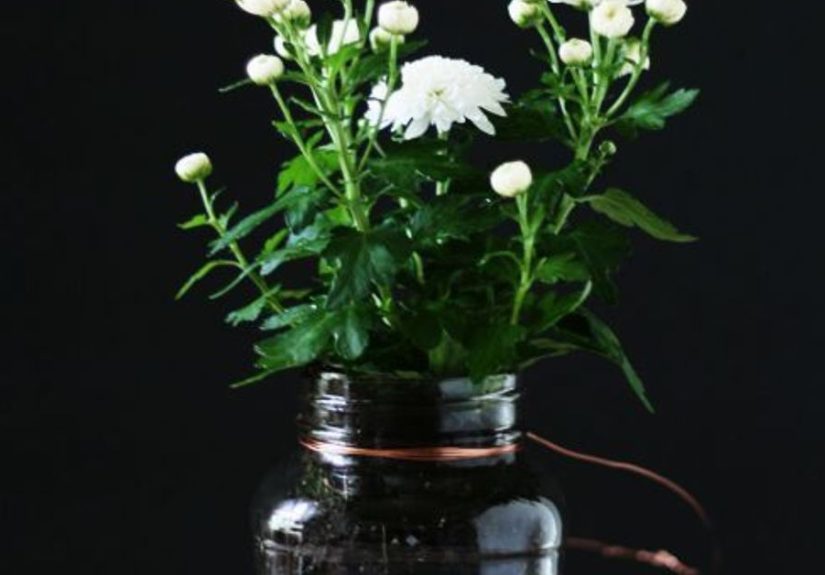 Mason Jar Planter