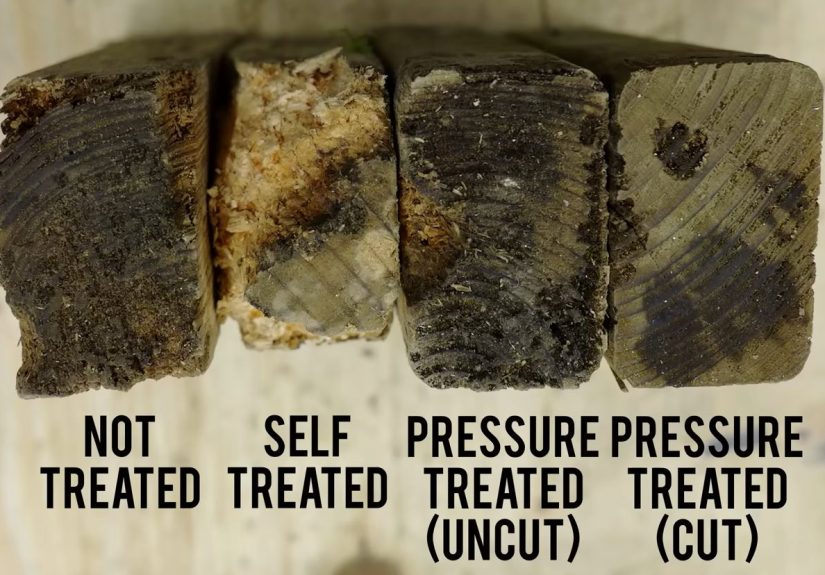 The Confusing World Of Wood Preservation Treatments