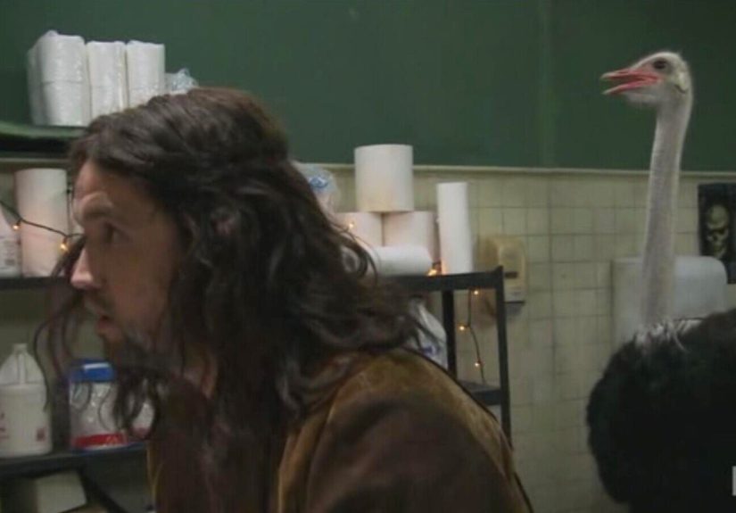 The ‘It’s Always Sunny in Philadelphia’ Season 17 Finale Delivers An All-Time Great ‘Dee Is a Bird’ Joke