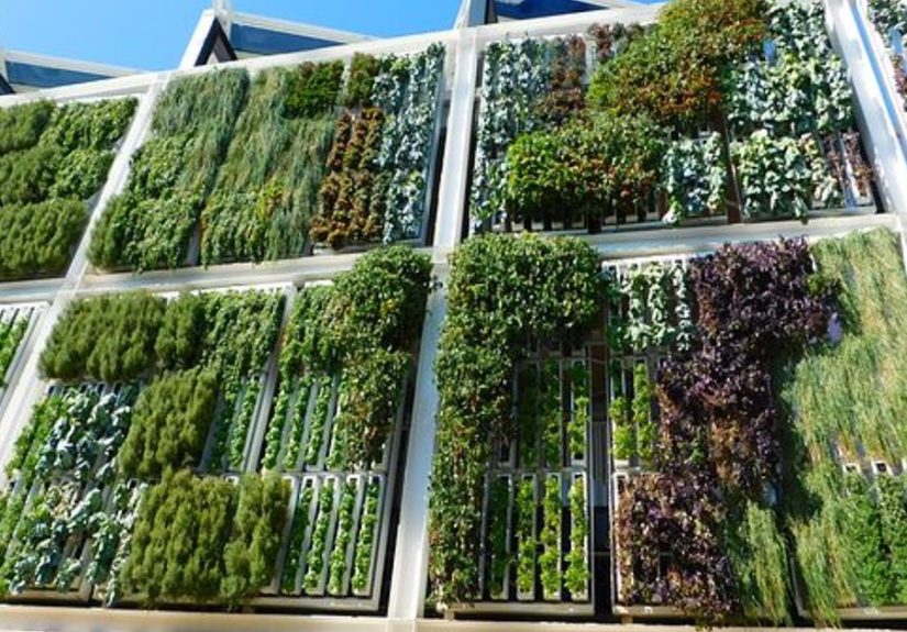The Most Ingenious Vertical Garden Ideas For Small Spaces