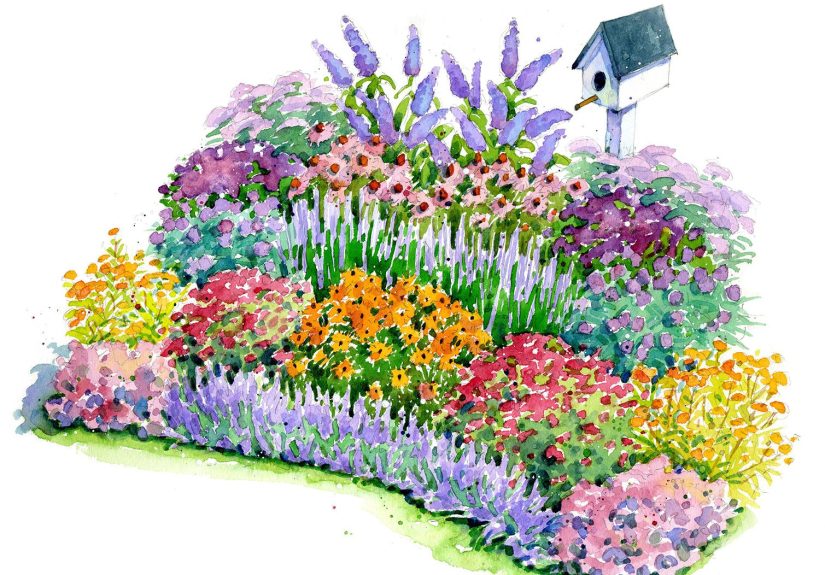 The Perfect, No-Fuss Bird and Butterfly Garden Plan