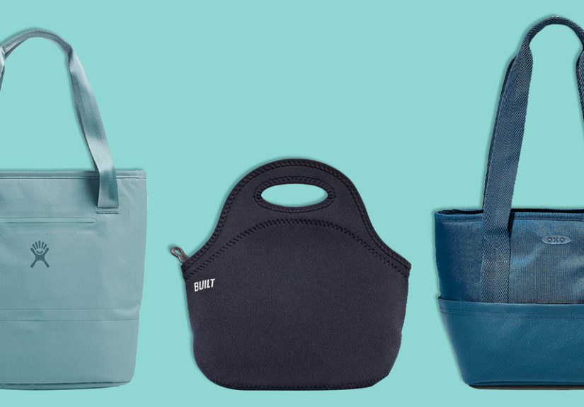 10 Best Lunch Bags for Adults of 2024, Tested by Experts