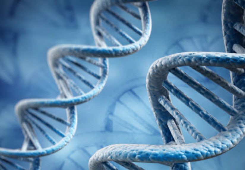 10 Mysteries of the Human Genome