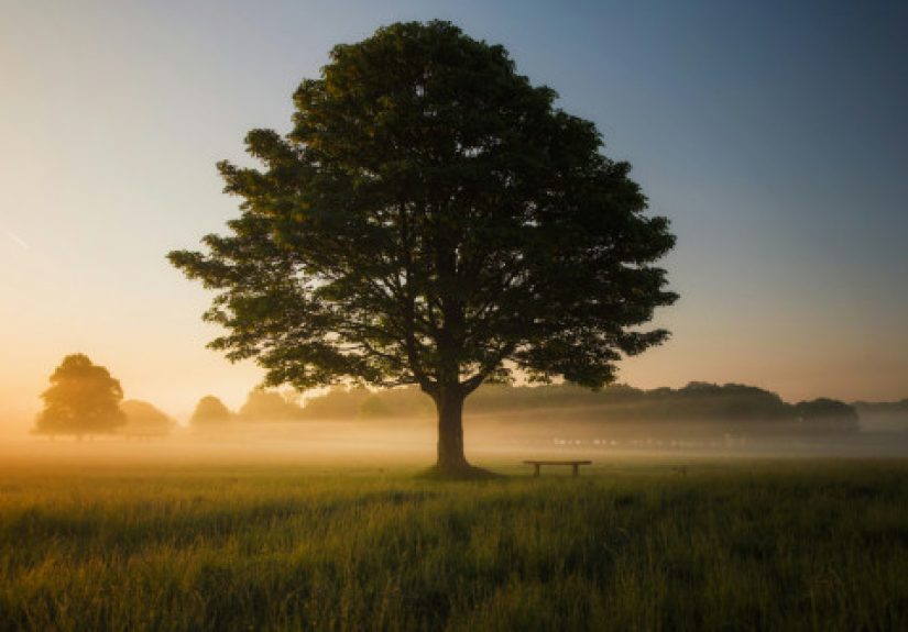 19 Timeless Life Lessons 90 Years of Wisdom Taught Me