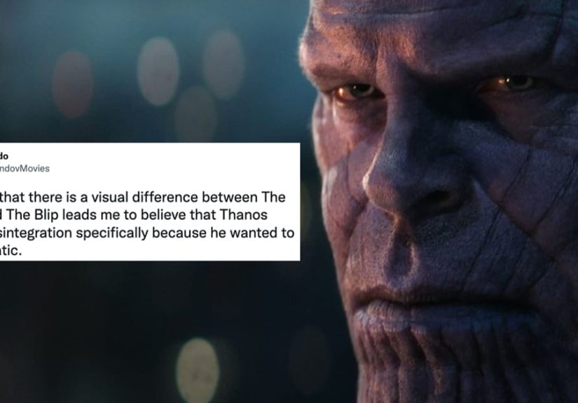 20 Pretty Wild Takes About The Snap And The Blip In The MCU That Would Make A Mad Titan Smile