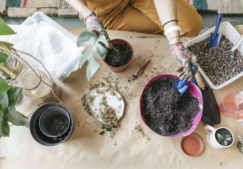 3 DIY Soil Mixes for Healthier Houseplants, According to Gardeners