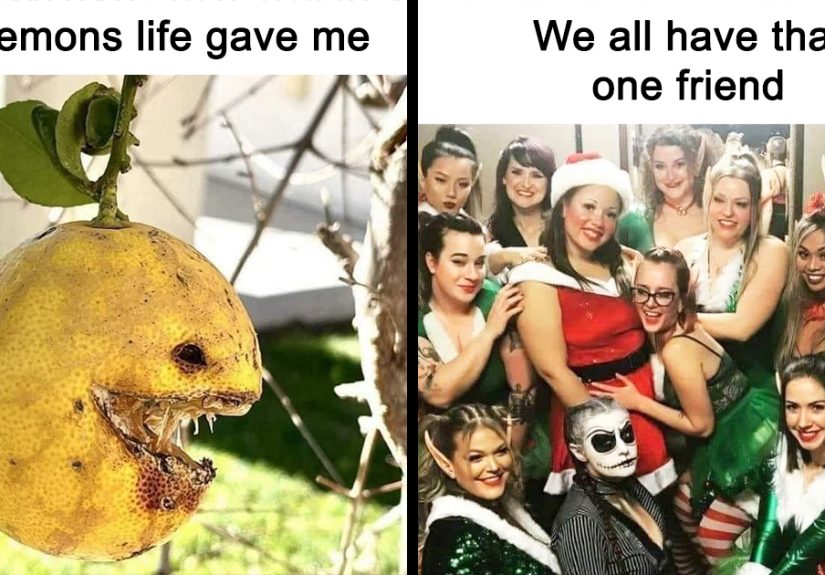 50 Memes Perfect For Anyone With A Spicy Brain