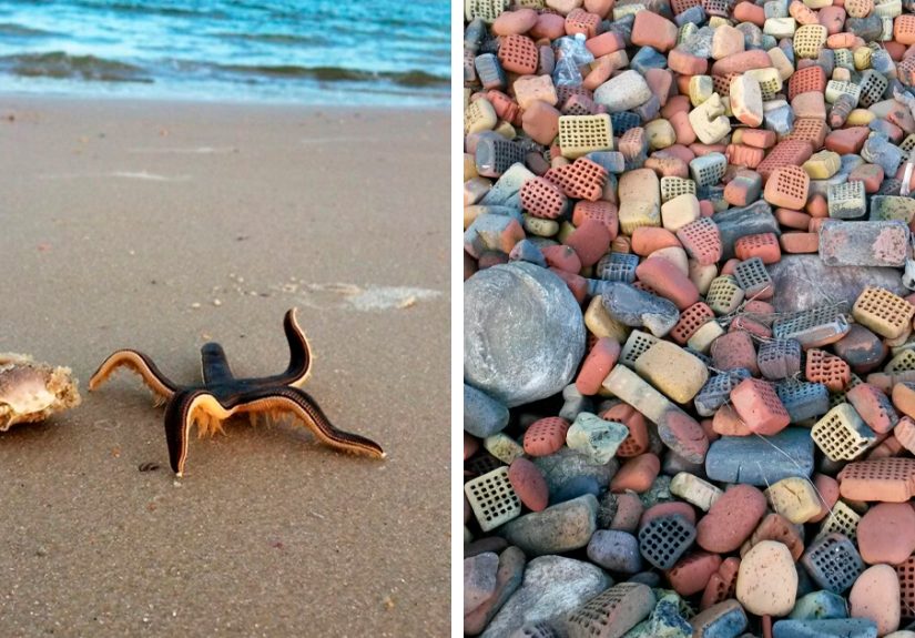 50 Times People Found Quirky Treasures Washed Ashore