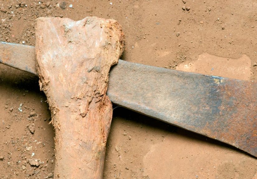 7,000-Year-Old Neolithic Treasures Uncovered in Spain