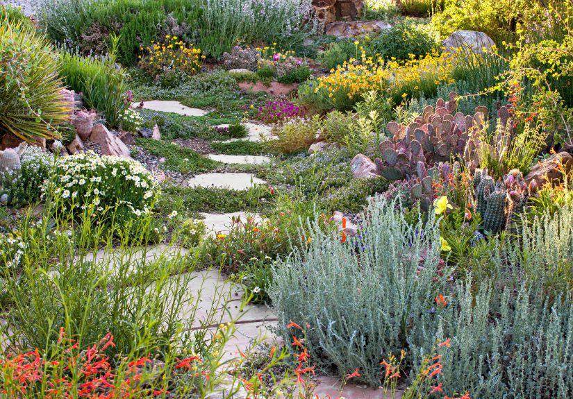 8 Garden Trends That Will Be Everywhere in 2024