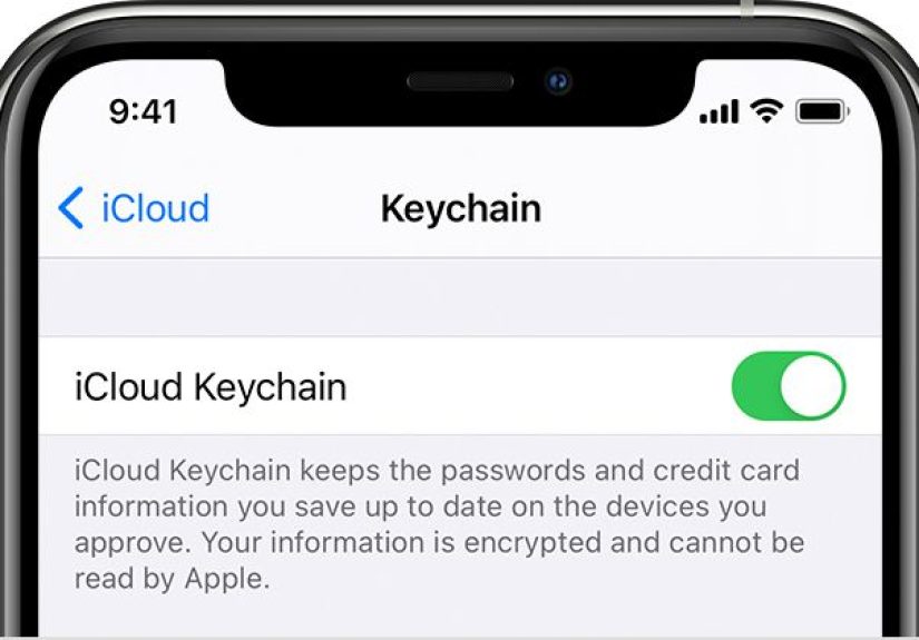 Apple Adds Password Manager to iCloud for Windows