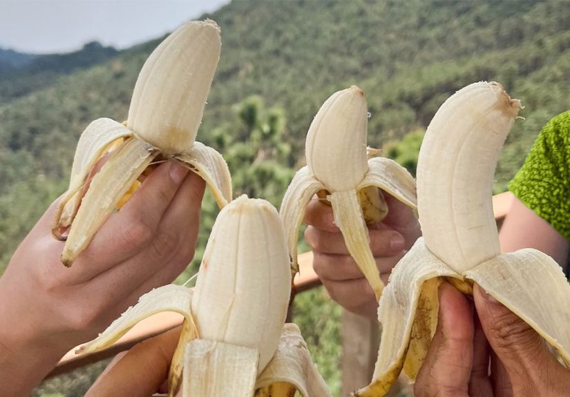 BRAT diet: Benefits, risks, and treating diarrhea