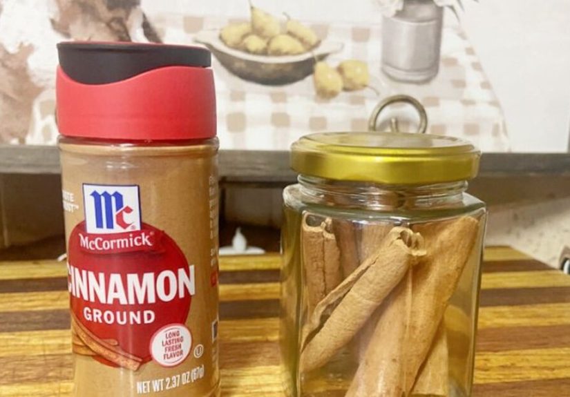 DIY Natural Cinnamon Spray For Bugs