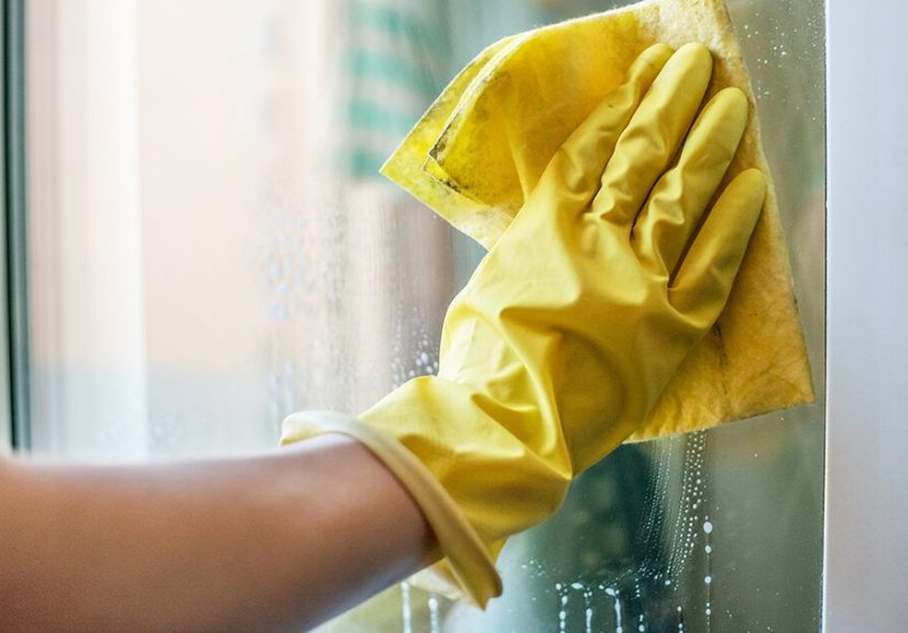 Does Vinegar Kill Mold and Mildew? What Works, What Doesn’t
