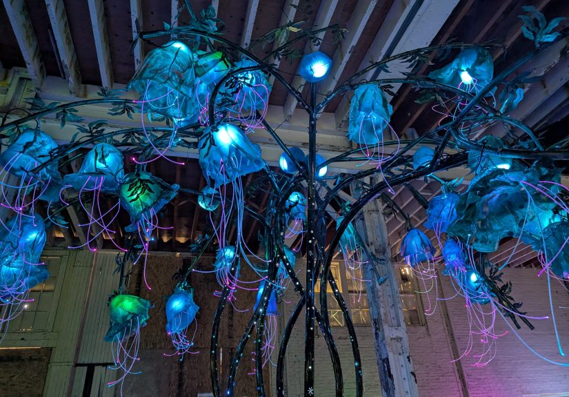 Field Trip Friday Was a Blast at Maker Faire Bay Area - Make: