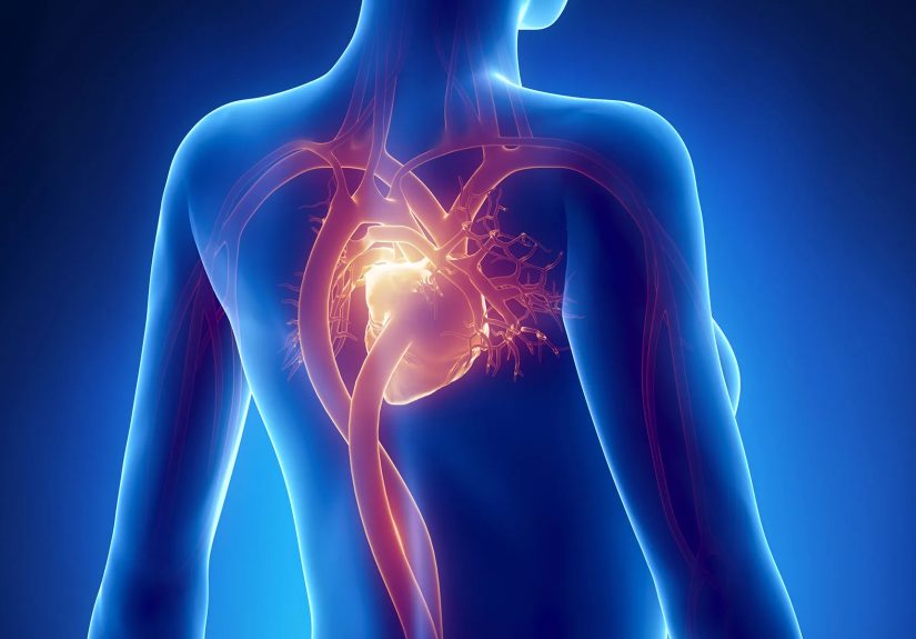 Heart Disease in African American Women: 10 Things to Look Out For