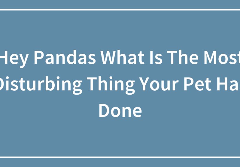 Hey Pandas: What Is The Most Disturbing Thing Your Pet Has Done (Closed)
