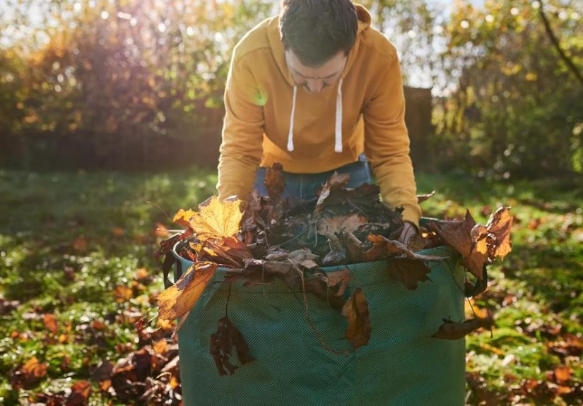 How To Avoid Back Pain After Gardening
