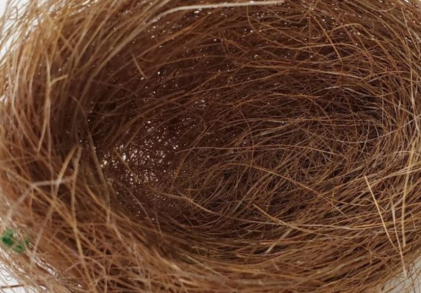 How to Make DIY Bird Nests in Under 5 Minutes: Quick and Fun Craft