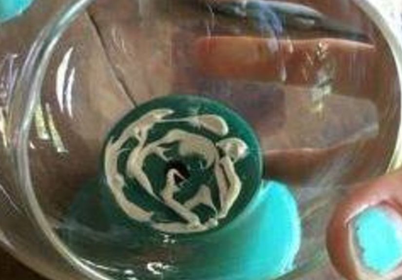 How to Make DIY Faux Gumball Machine Terrarium